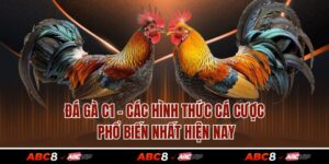 Đá Gà C1 - Các Hình Thức Cá Cược Phổ Biến Nhất Hiện Nay