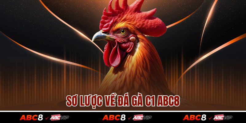 Sơ lược về đá gà c1 ABC8