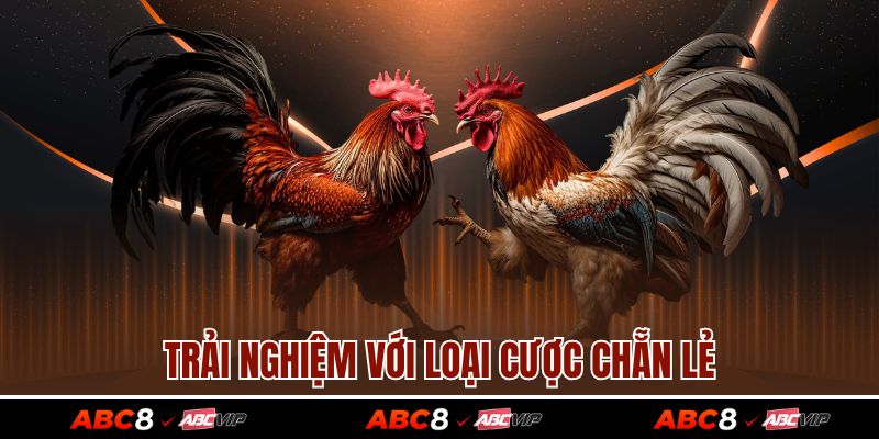 Trải nghiệm với loại cược chẵn lẻ